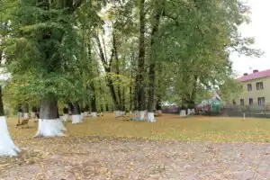 Парк кавказской липы