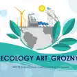 Фестиваль инсталляционного искусства «Ecology Art_Grozny» пройдет с 10 по 14 октября в Грозном