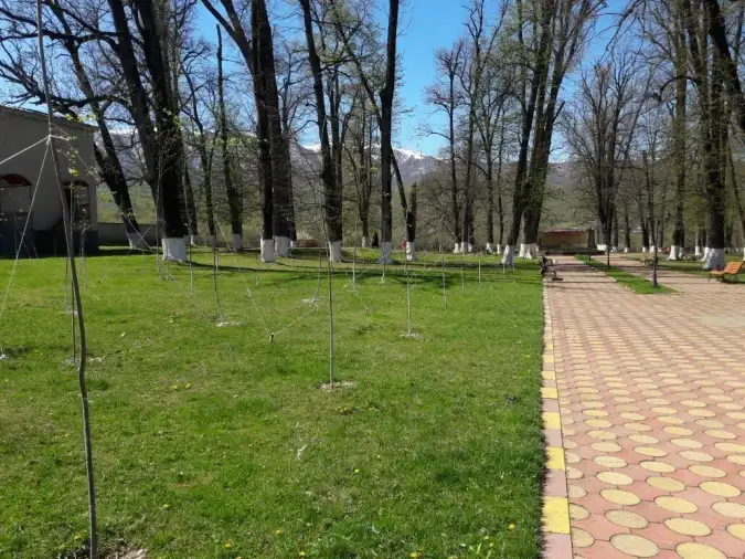 park-vedeno