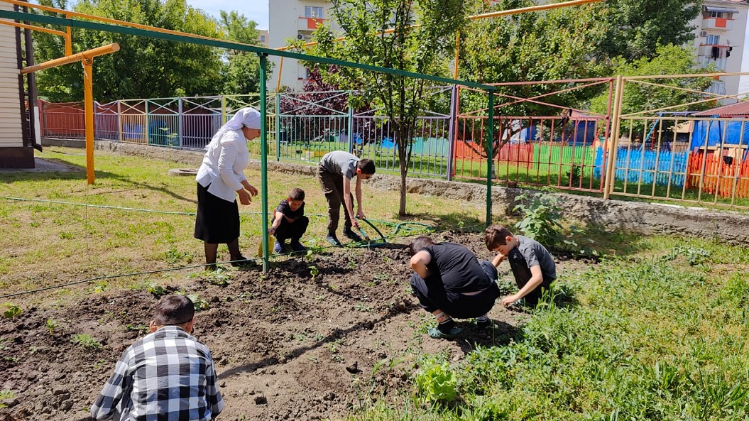 В воспитанниками средней группы в ГБУ “Ахматовский С-РЦН” были проведены закрепляющие беседы: «Как выращивают овощи на огороде?»